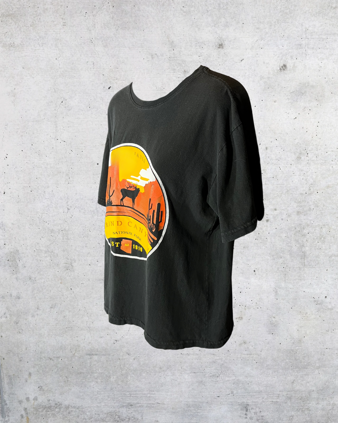 Desert Dreamin’ Grand Canyon Tee – Large