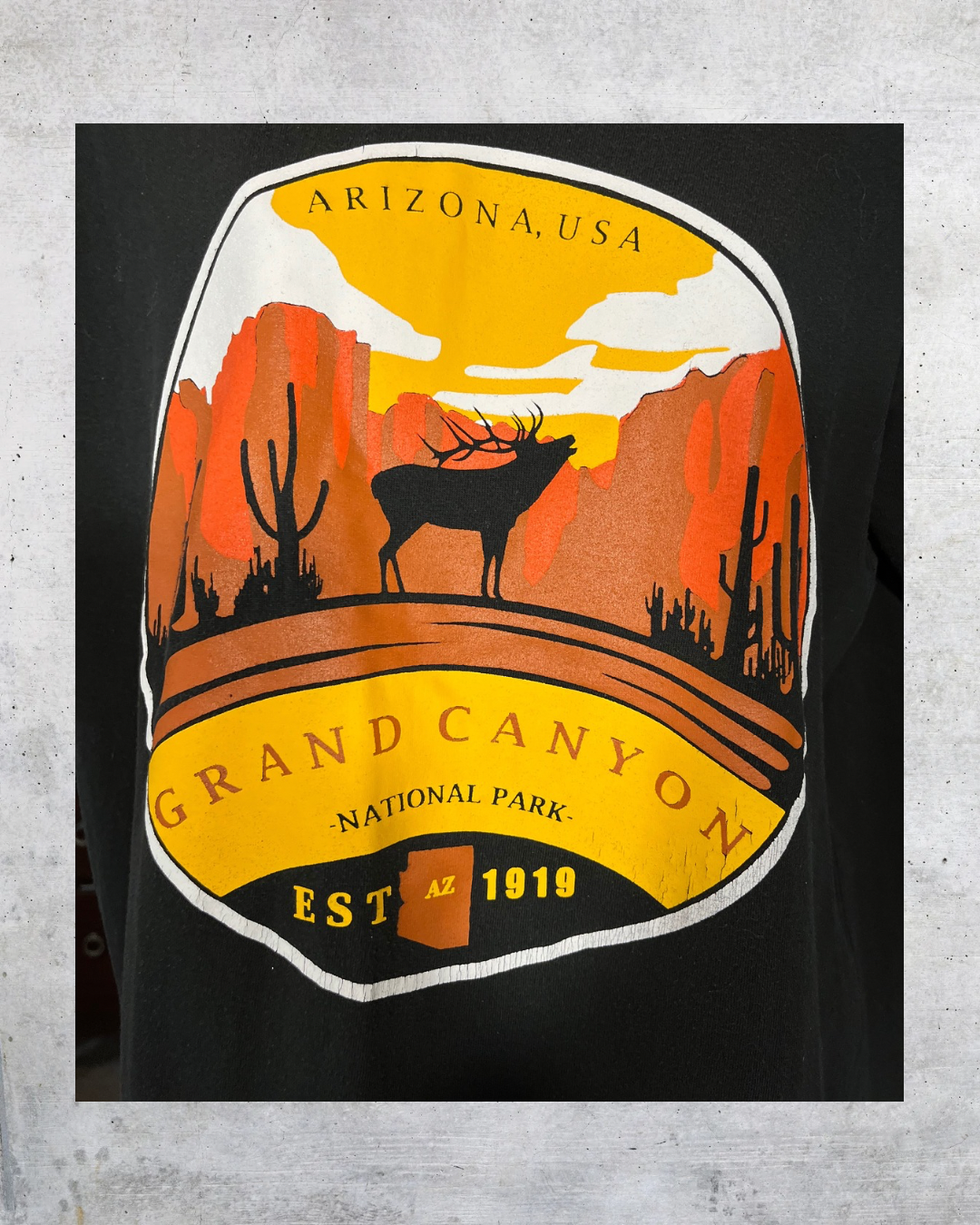 Desert Dreamin’ Grand Canyon Tee – Large