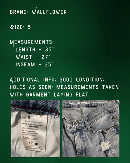 Wallflower Jeans - Size 5