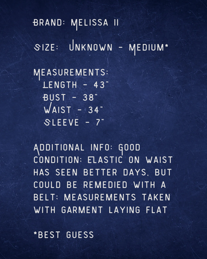 Blueberries for Sal Dress - Medium