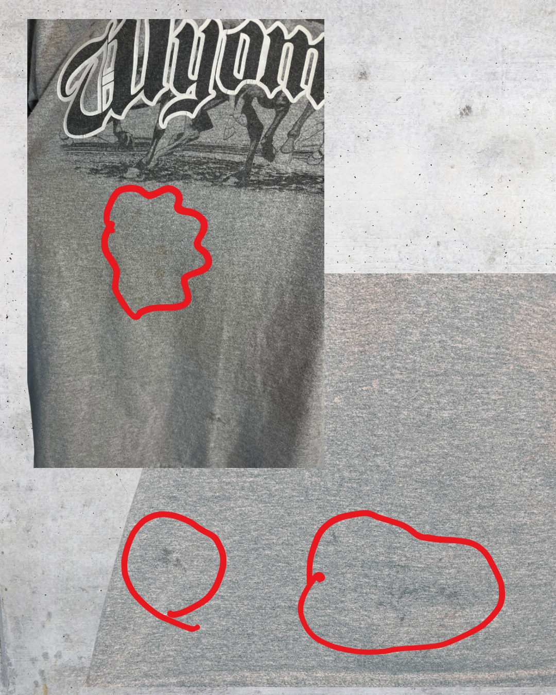 Wyoming Horse Tee - Medium