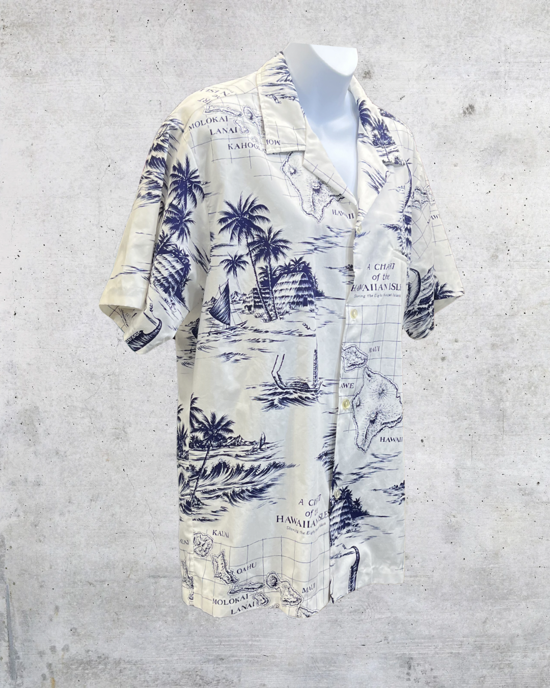 Vintage Rai Nani Hawaiian Isles Map Aloha Shirt - Large
