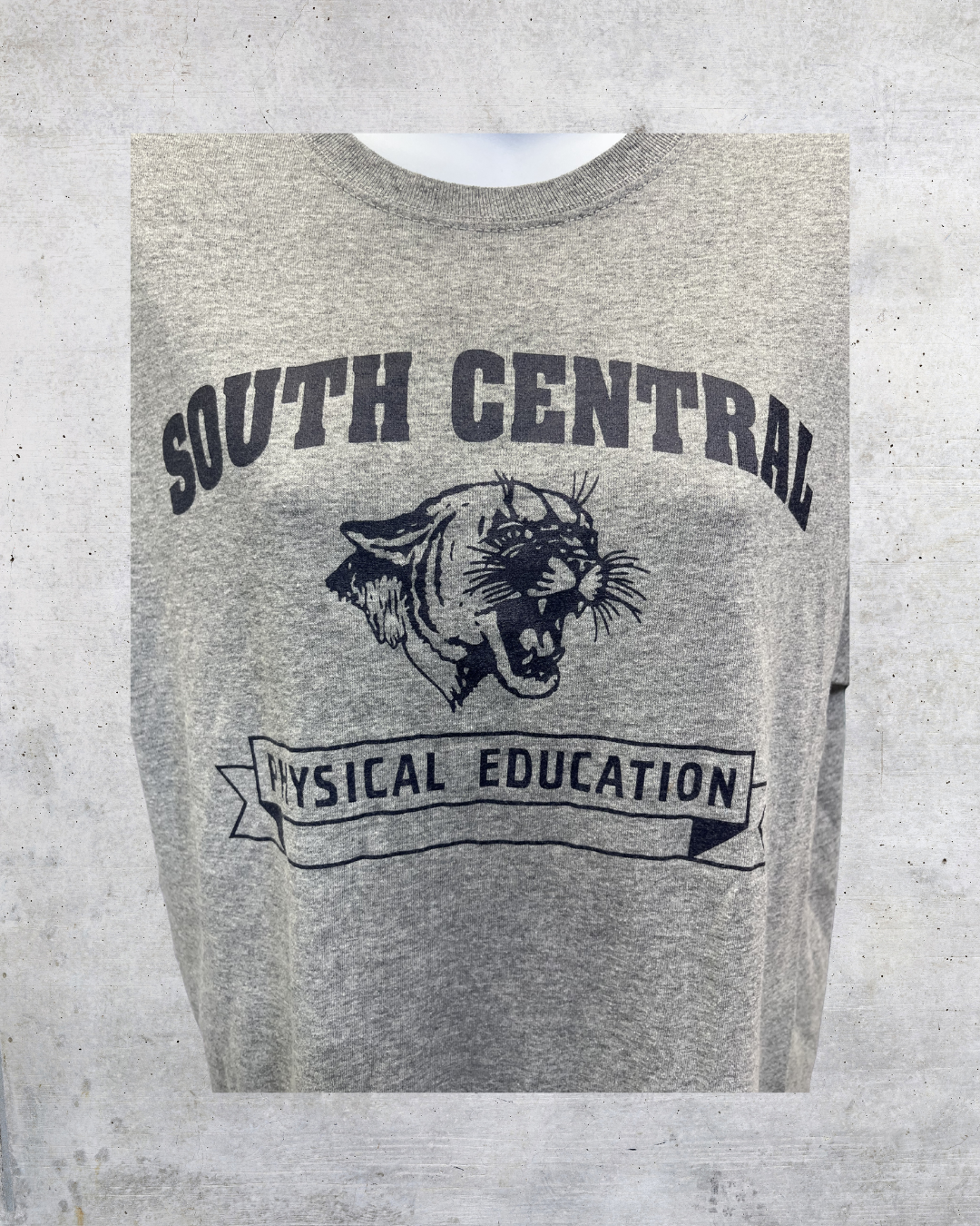 South Central Physical Education Cougar Graphic Tee - Medium